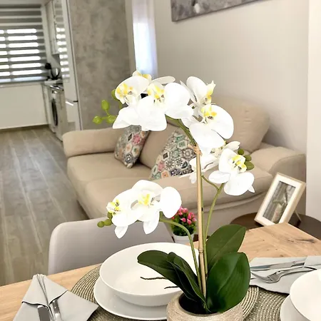 Apartbeach Palmeras Climatizado Y Junto Playa شقة لا بينيذا