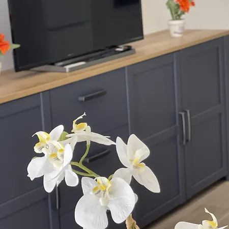 Apartbeach Palmeras Climatizado Y Junto Playa Apartment *